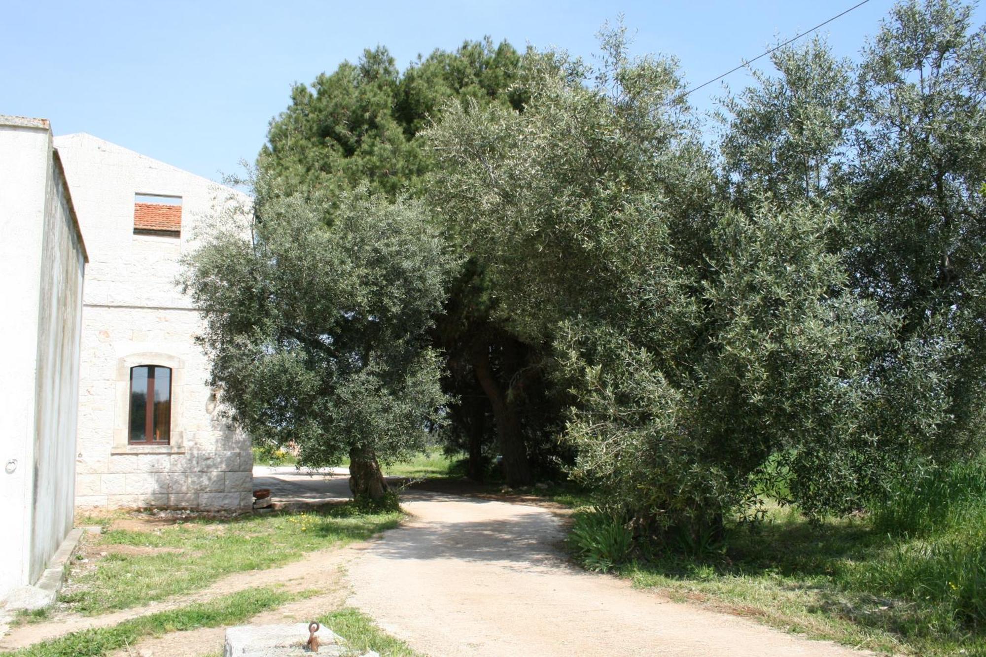 Masseria La Luna Nel Pozzo Кастеллана-Гротте Экстерьер фото